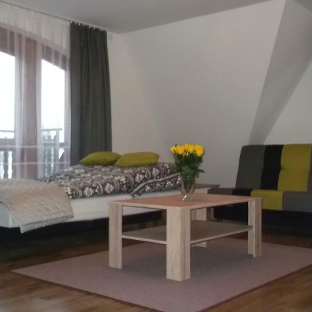 Apartamenty Lejowka ホホウフ エクステリア 写真