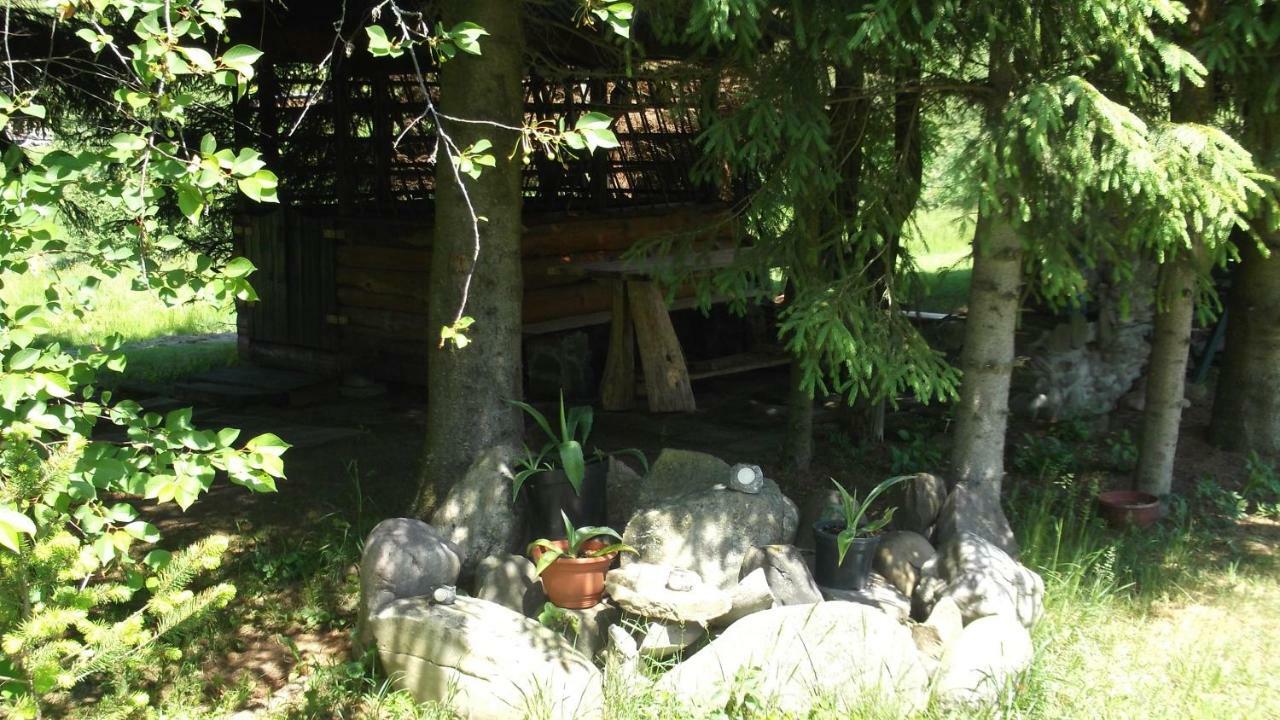 Apartamenty Lejowka ホホウフ エクステリア 写真