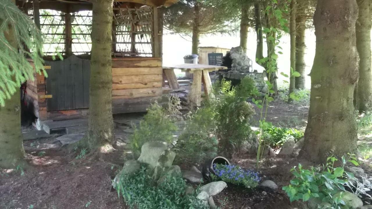 Apartamenty Lejowka ホホウフ エクステリア 写真