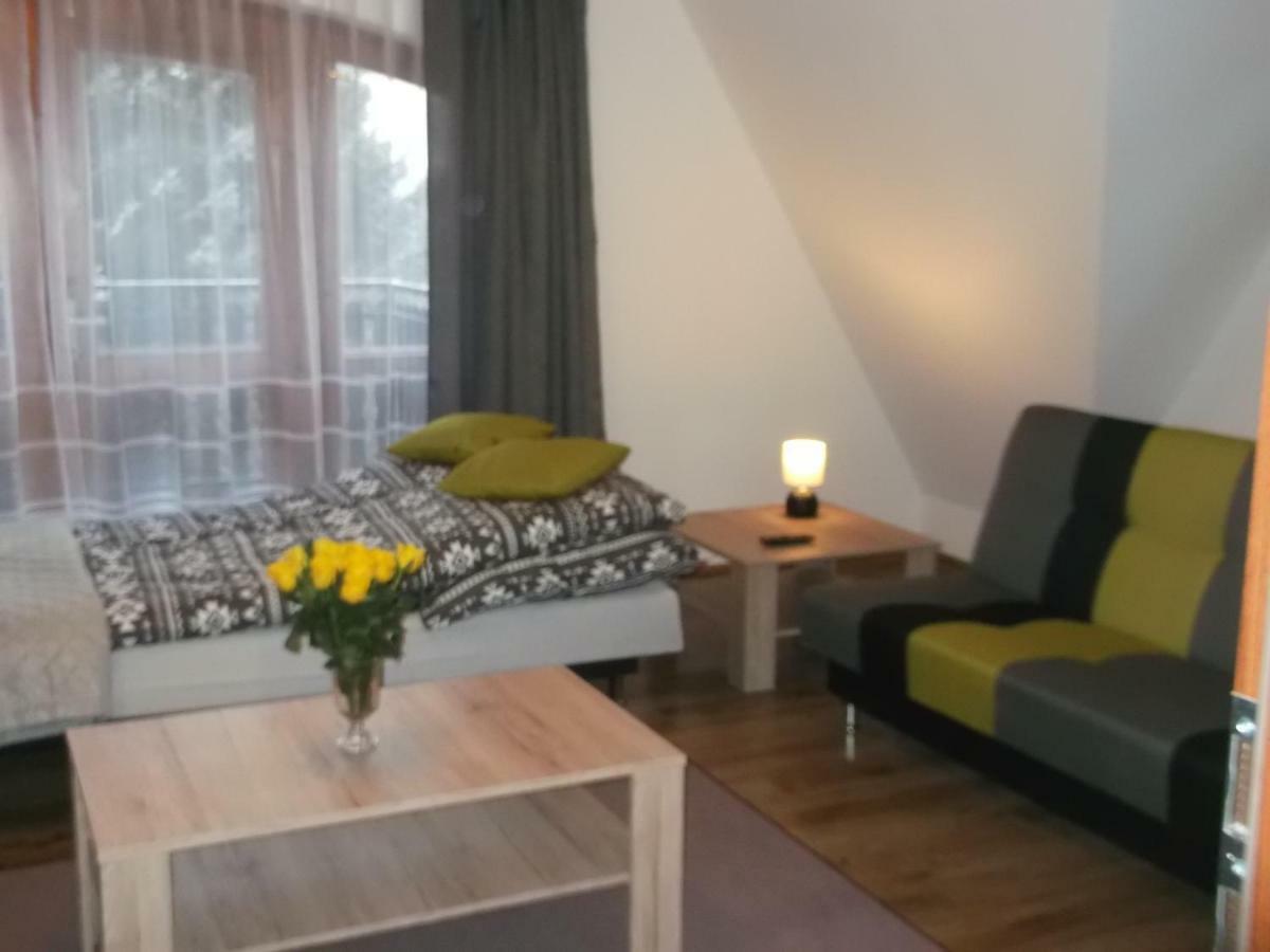 Apartamenty Lejowka ホホウフ エクステリア 写真